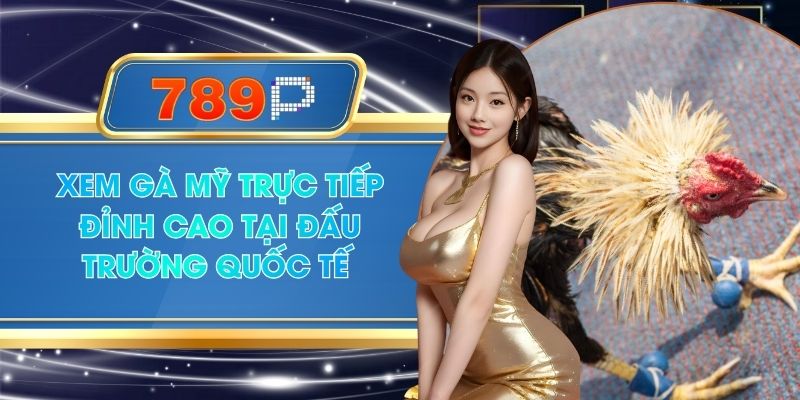 Xem Gà Mỹ Trực Tiếp Đỉnh Cao Tại Đấu Trường Quốc Tế